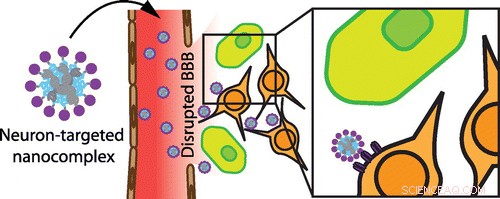 Mitigating Long-Term Consequences of Traumatic Brain Injury
