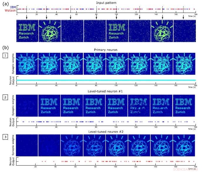Neuromorphic Computing Replicates Key Brain Feature for Smarter AI