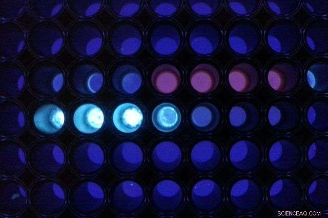 UCLA Breakthrough: Faster, Simpler Detection of Infectious Diseases and Cancer