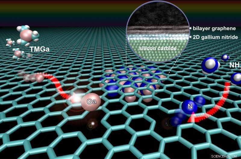 Graphene Enables Growth of 2‑D Semiconductors with Exceptional Properties