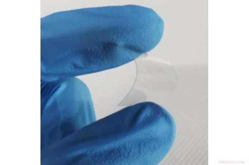 Brain‑Inspired, Stretchable & Flexible Memory Device: Reliable Performance & Innovation