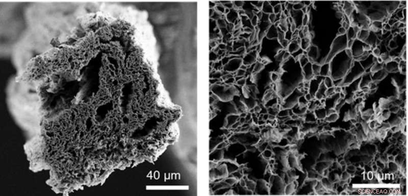 Rutgers Engineers Harness Microwaves to Produce High-Quality Graphene