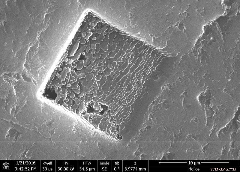 3‑D Graphene for Biomedical Use: Researchers Forge Durable, Porous Material by Welding Nanoscale Sheets