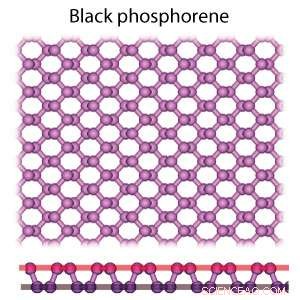 How Flat Phosphorus Grows: Insights into Phosphorene Nanoflake Stability