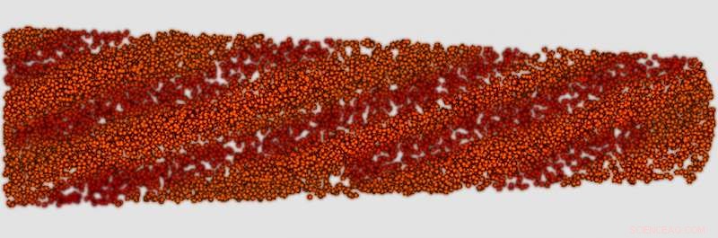 Scientists Discover Nanoscale Factors Influencing Tooth Health