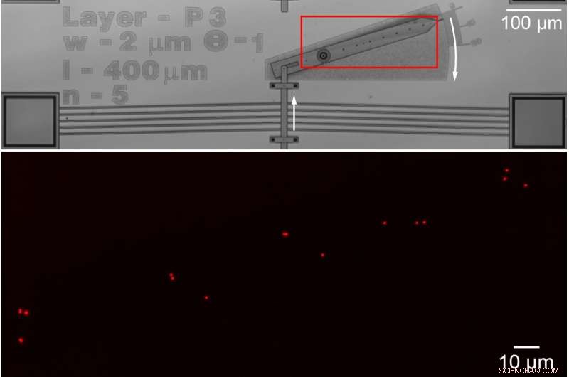 Scientists Reveal How Nanoscale Motion Translates into Micromachine Operation