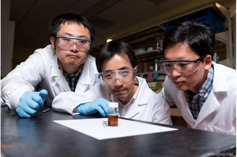 Uniform Hairy Nanorods: Revolutionizing Energy Storage and Biomedical Solutions