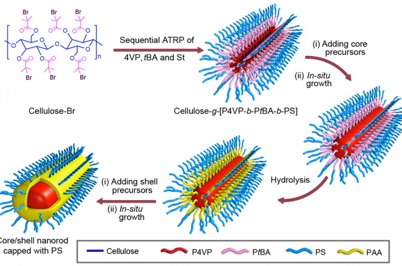 Uniform Hairy Nanorods: Revolutionizing Energy Storage and Biomedical Solutions
