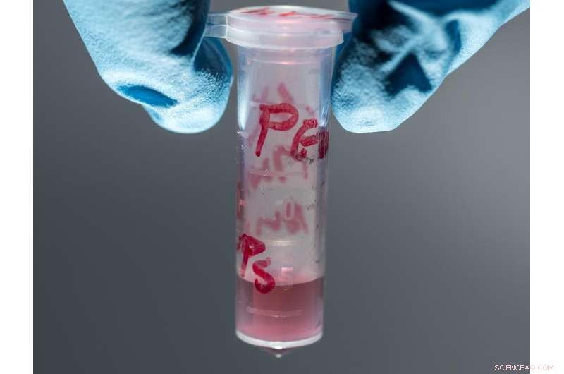 Uniform Hairy Nanorods: Revolutionizing Energy Storage and Biomedical Solutions