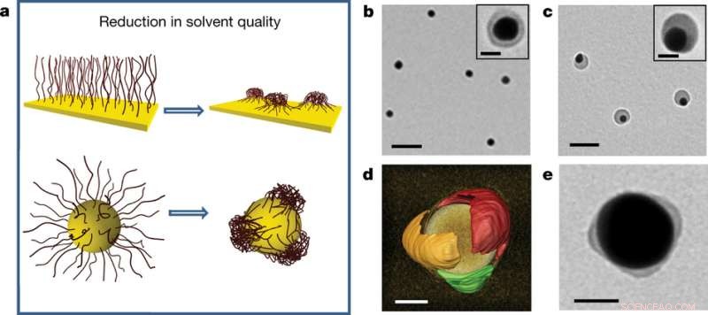 Engineering Gold Nanoparticles with Polymer Surface Patterns for Advanced Applications