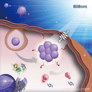 Tracking Microscopic Drug Carriers in Cancer Therapy