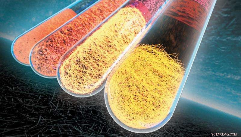 Scientists Achieve High-Purity Copper Nanowires via Novel Purification Technique