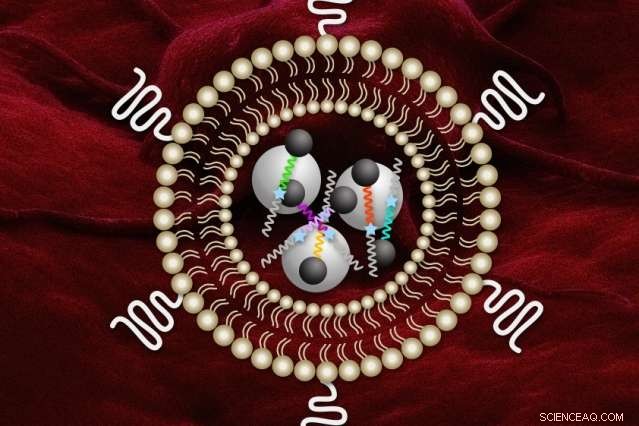 Nanosensors Offer New Insight Into Tumor Tissue Remodeling