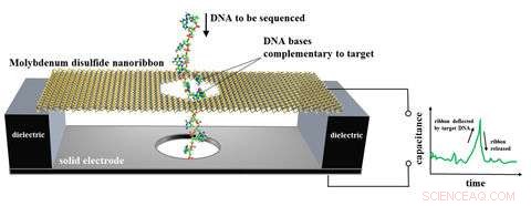Innovative Nanoscale MoS2 Motion Sensor Proposed as Next-Gen DNA Sequencer