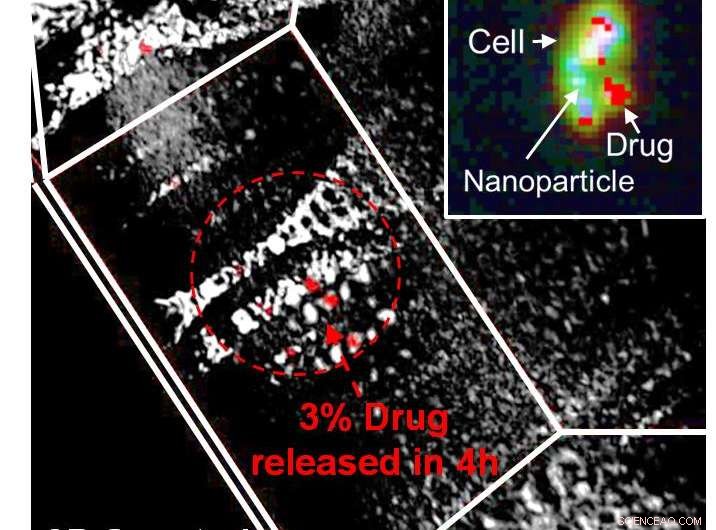 Accurate Measurement of Nanoparticle-Delivered Drug Within Cells Using Hyperspectral Imaging