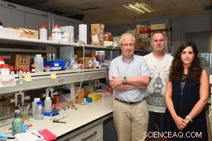 Ultra‑Sensitive Detection of Cocaine and Mycoplasma by Valencia & Basque Researchers