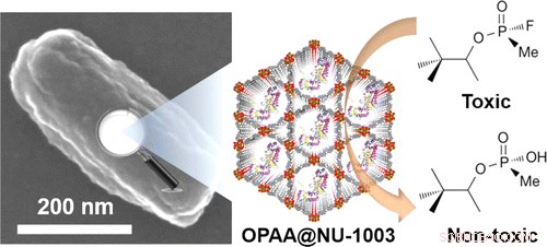 Pre-Attack Antidote for Nerve Agents: A New Protective Breakthrough