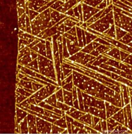 Protein-Based Nanowires Bridge Chemical Gap in Bioelectronics