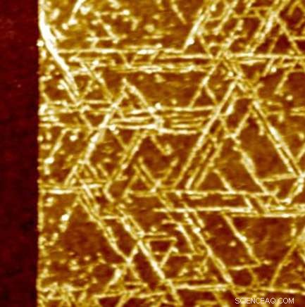 Protein-Based Nanowires Bridge Chemical Gap in Bioelectronics