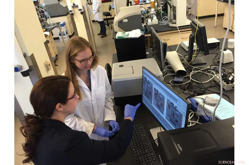 Immune System Response to Nanomedicine: Key Insights