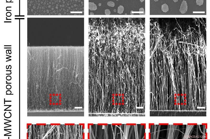 Revolutionary Carbon Nanotube Sensor Enables Ultra‑Sensitive Virus Detection and Identification
