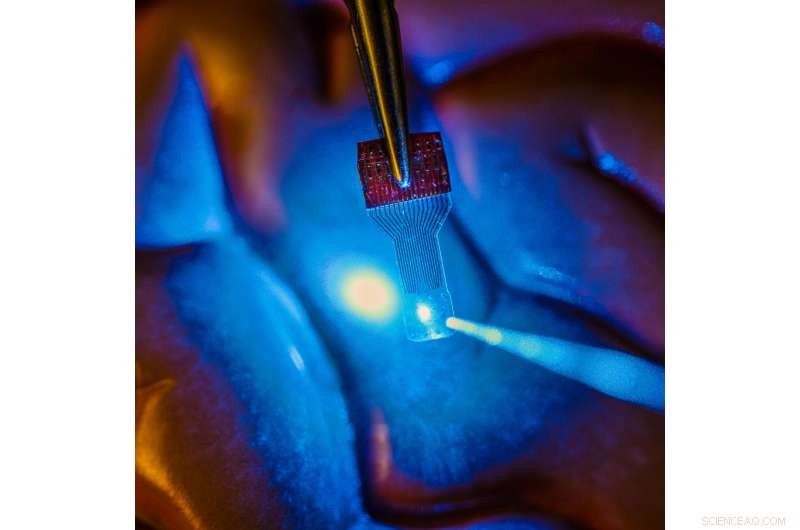 Engineers Unveil Fabrication Process for Breakthrough Transparent Neural Sensors