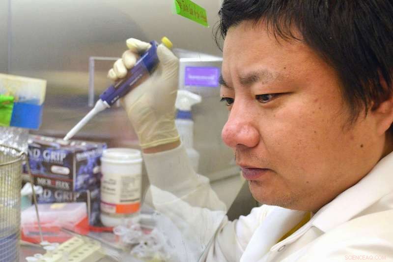 Study Shows Silver Nanoparticle Levels in Water Supply Pose No Harmful Risk