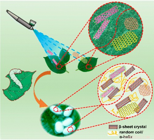 Enhanced Silk Strength: Silkworms Eat Graphene and Carbon Nanotubes