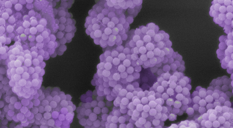 Revolutionary Nanoscale Engineering Turns Tiny Particles into LEGO‑Like Building Blocks