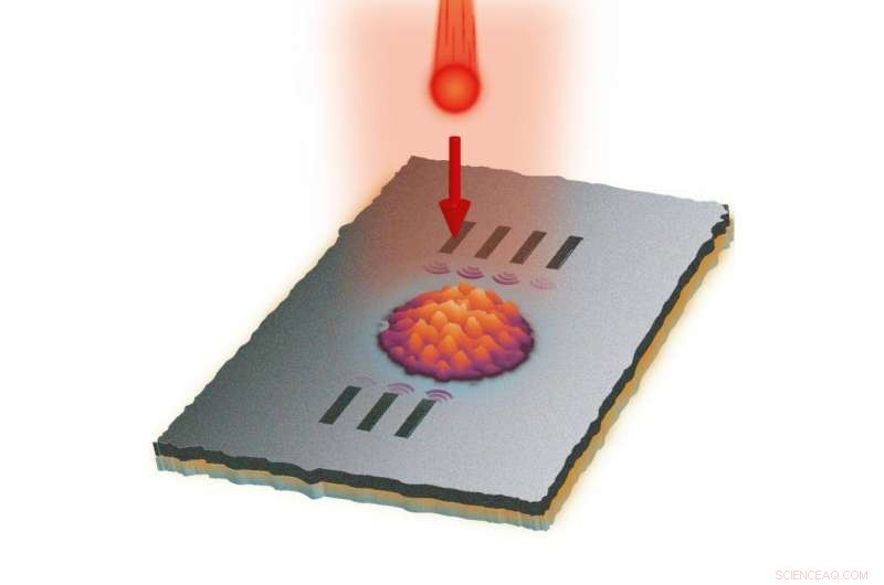 Real‑Time Observation of Coupled Light and Electron Dynamics