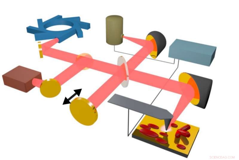Infrared Imaging Reveals Nanoscale Molecular Arrangements in PTCDA Crystals