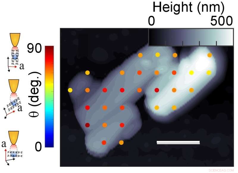 Infrared Imaging Reveals Nanoscale Molecular Arrangements in PTCDA Crystals