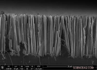 Eco‑Friendly Silicon Nanowire Production Using Ammonium Fluoride