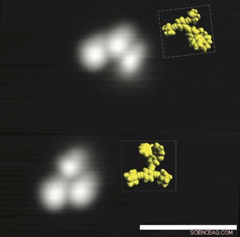 Light-Activated Single-Molecule 3-Wheelers Reach 23 nm/hr Speed