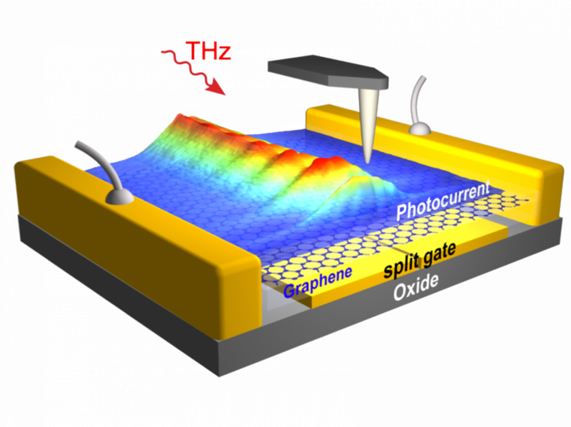 Direct Observation of Terahertz Graphene Plasmons on Integrated Chip