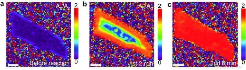 Hydrogenating Graphene: Controlled Edge‑Initiated Birch‑Type Functionalization