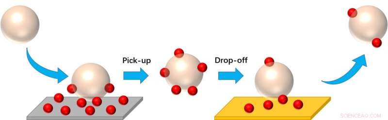 Nanoparticle  Taxi  Materials: Identify, Collect, and Transport Surface Debris Efficiently