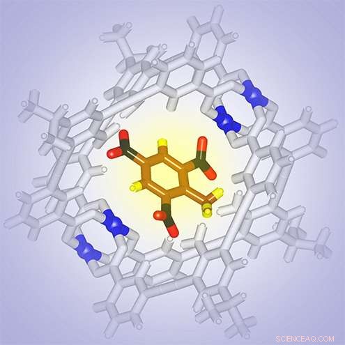 Advanced Nanosensors Set to Replace Sniffer Dogs for TNT Detection
