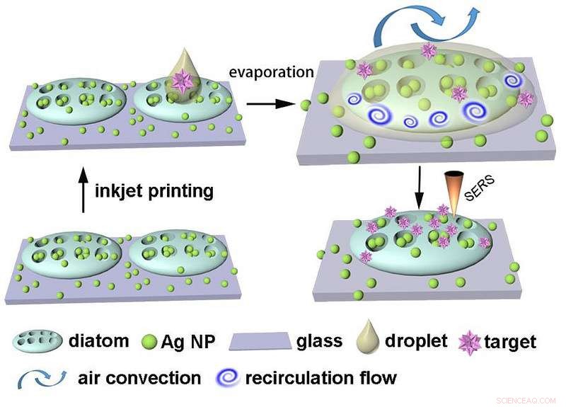 Oregon State University Unveils Diatom-Based Optofluidic Sensor for Enhanced Performance