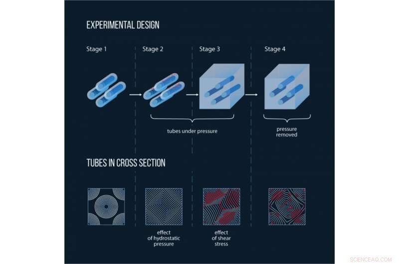 MIPT Scientists Forge Ultra‑Strong Material via Pressure‑Welding of Nanotubes