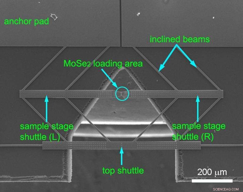 New Study Reveals Molybdenum Diselenide Is More Brittle Than Predicted