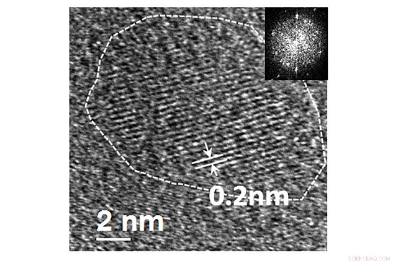 Metal‑Free Fluorinated Graphene Shows No Toxicity in Cell Culture Tests – A Safer Nanomaterial