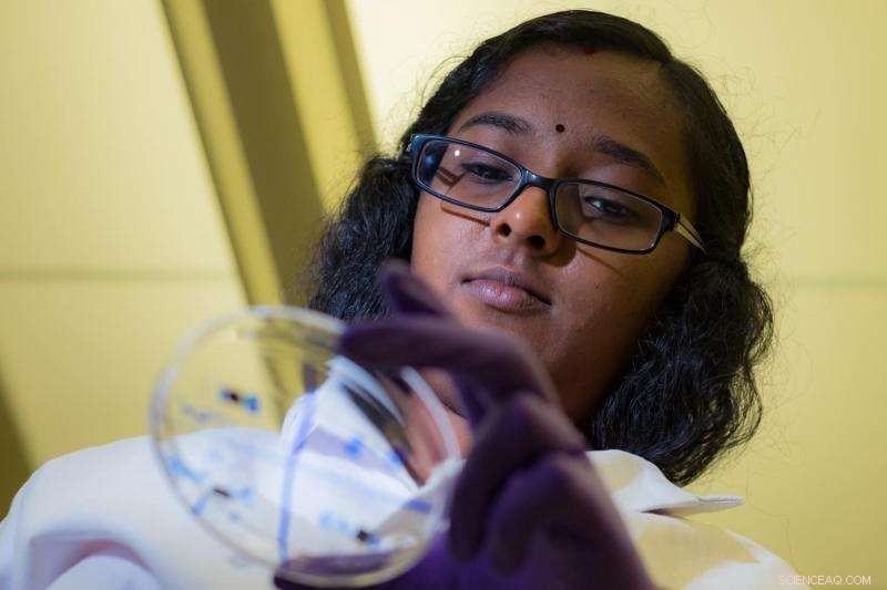 Metal‑Free Fluorinated Graphene Shows No Toxicity in Cell Culture Tests – A Safer Nanomaterial