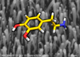 Tailored Carbon Nanofibers Offer New Hope for Neurological Disease Treatment