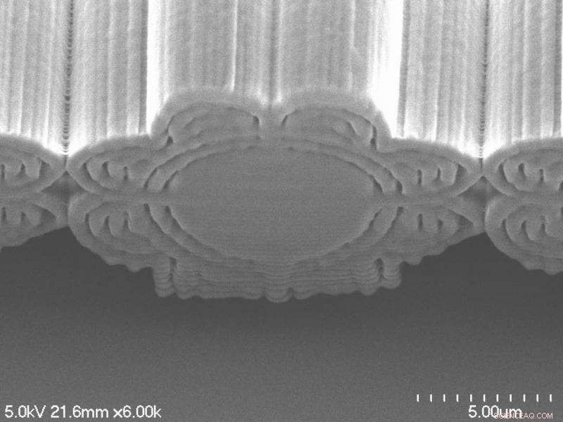 Blue Tarantula Microscopy Reveals Nanostructure Secrets for Advanced Color Production
