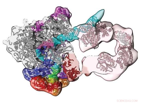 Visualizing Living Machines: A Comprehensive Guide