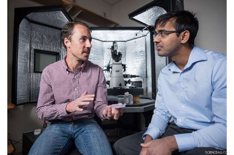 Enhancing Atomic Force Microscopy: Capturing Molecular Dynamics in Slow Motion with White Noise