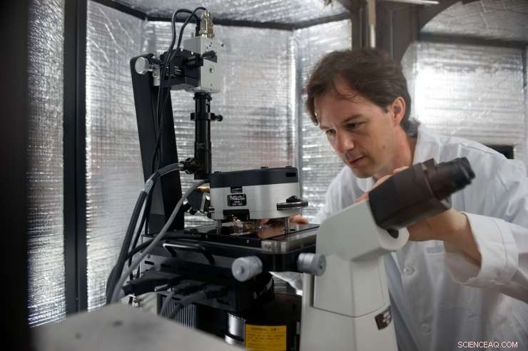 Enhancing Atomic Force Microscopy: Capturing Molecular Dynamics in Slow Motion with White Noise