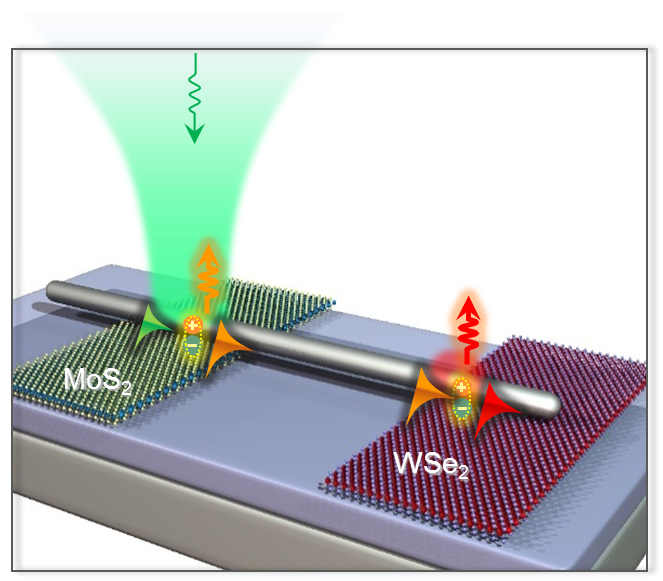 Scientists Unveil Advanced Optical Circuit Components to Master Light Manipulation