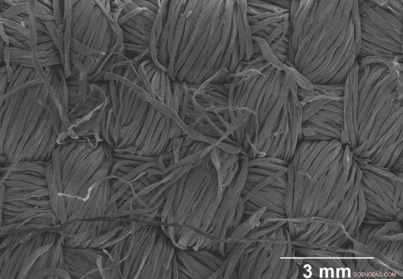 Eco-Friendly Graphene Textiles Pave the Way for Next-Gen Wearable Electronics